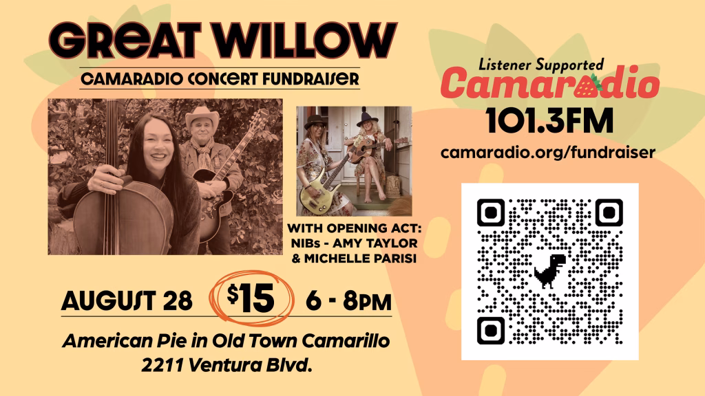 Banner advertising a fundraiser concert featuring Great Willow