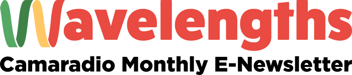 Wavelengths Newsletter logo featuring red letters and a colorful wave as the W.